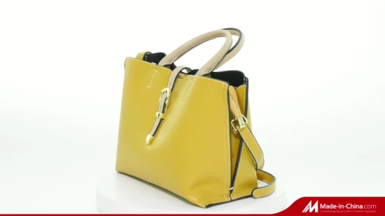 Novo design de moda crossbody 2022 ins bolsa de ombro bolsa de moda senhora bolsas bolsas para mulheres senhoras designer de couro do plutônio odm fábrica oem na moda atacado