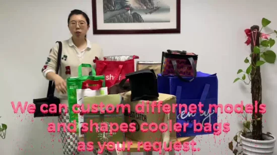 Embalagem com 6 embalagens térmicas isoladas não tecidas personalizadas para almoço por atacado Fabricação na China